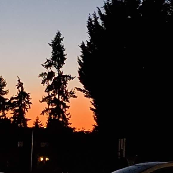 Meet your Posher, Martina - Picture 4 of 7